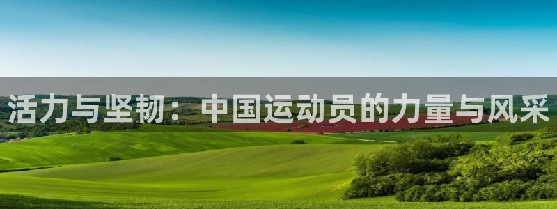三亿体育网