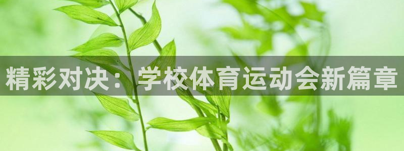 三亿体育网页版：精彩对决：学校体育运动会新篇章