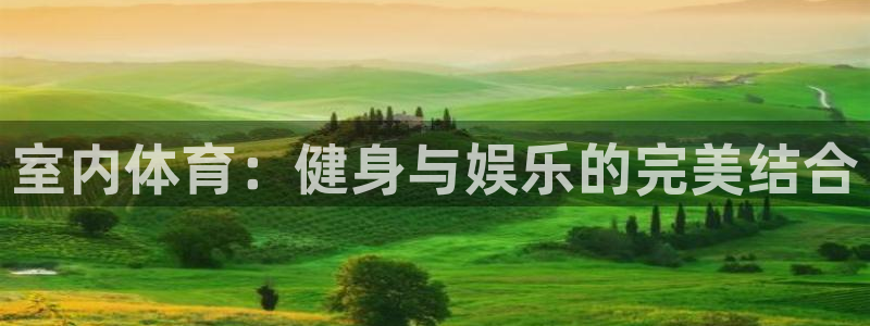 三亿体育登录：室内体育：健身与娱乐的完美结合