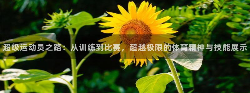 三亿体育