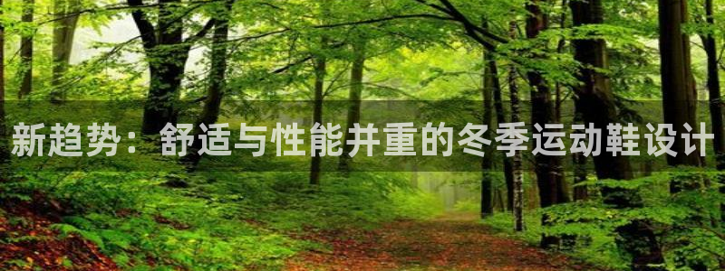 三亿体育登录：新趋势：舒适与性能并重的冬季运动鞋设计