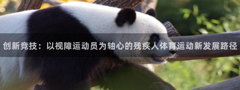 三亿体育：创新竞技：以视障运动员为轴心的残疾人体育运动新发展路径