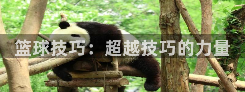 三亿体育网：篮球技巧：超越技巧的力量