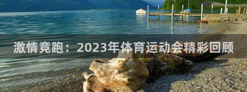 三亿体育：激情竞跑：2023年体育运动会精彩回顾
