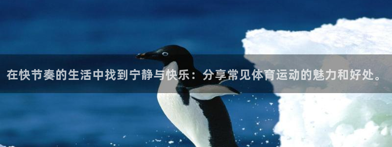 三亿体育登录：在快节奏的生活中找到宁静与快乐：分享常见体育运动的魅力和好处。