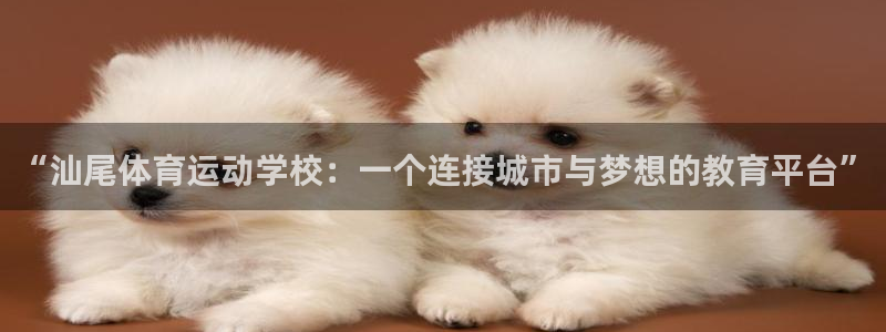 三亿体育：“汕尾体育运动学校：一个连接城市与梦想的教育平台”