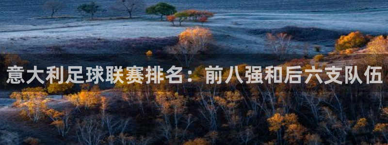 三亿体育登录：意大利足球联赛排名：前八强和后六支队伍