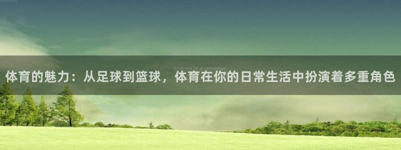 三亿体育网：体育的魅力：从足球到篮球，体育在你的日常生活中扮演着多重角色