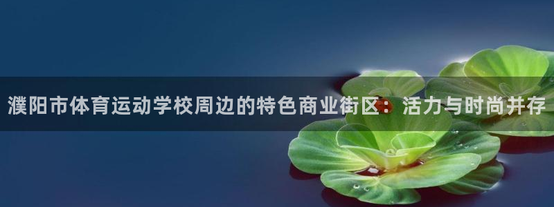 三亿体育网页版：濮阳市体育运动学校周边的特色商业街区：活力与时尚并存