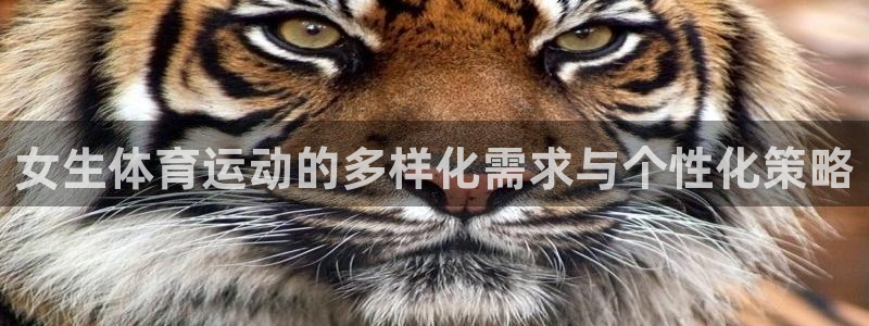 三亿体育网页版