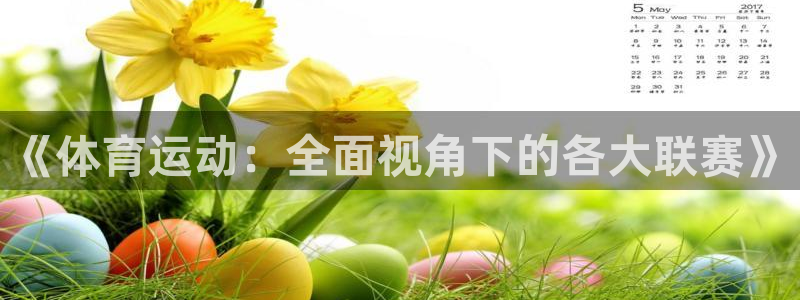 三亿体育网
