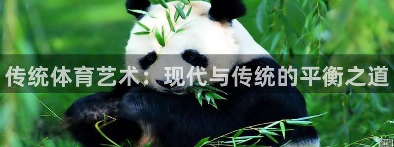三亿体育网页版